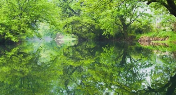 风起钱江源，山川大地奏响未来之歌