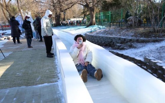 紫竹院公园的冰雪盛宴，开启美好新年