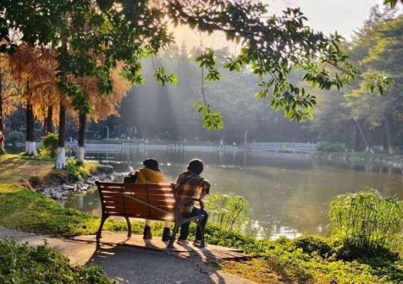 春节前广州天气骤变，气温波动如何影响健康