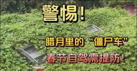 警惕腊月中的“僵尸车”：春节自驾的潜在隐患