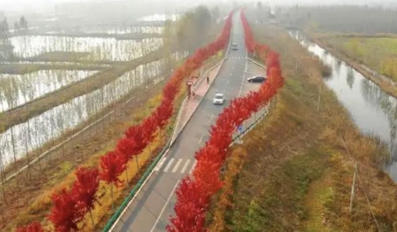 微山岛环湖公路：开启山东新旅游线路