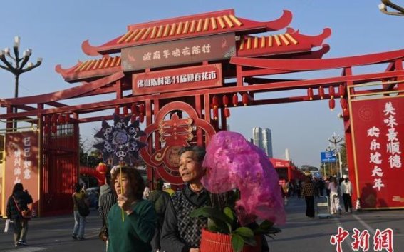 佛山陈村迎春花市：花海中的年味盛宴