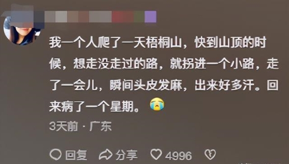 梧桐山的背后：那些无法忽视的神秘传说