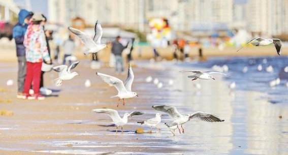 春日海风，金梦海湾的浪漫