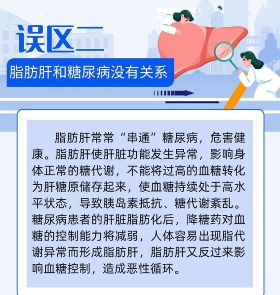 脂肪肝的危害与误区解析