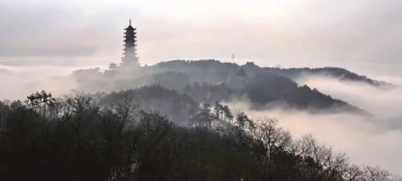 江南水乡，梅花如雪