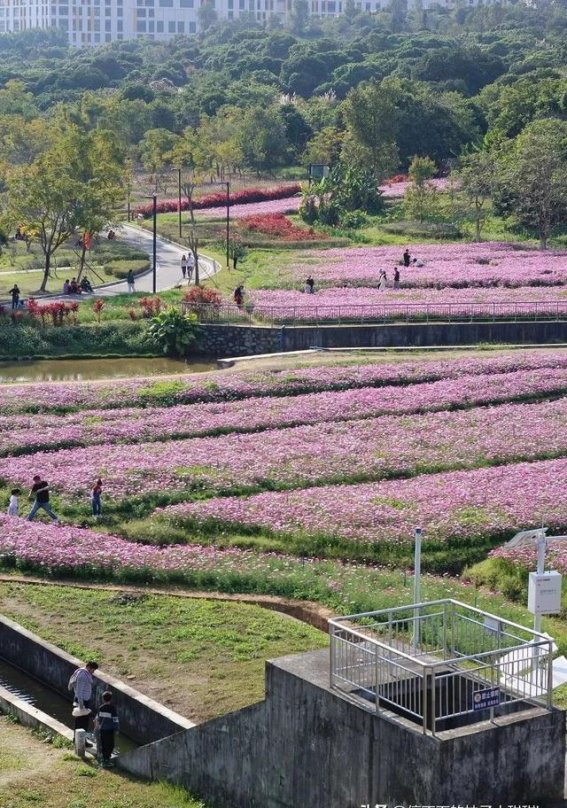 广州私藏秘境，新塘万田生态公园，亲近自然的理想去处