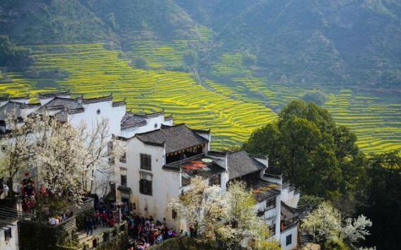 春季赏花旅游热潮兴起，热门目的地大揭秘