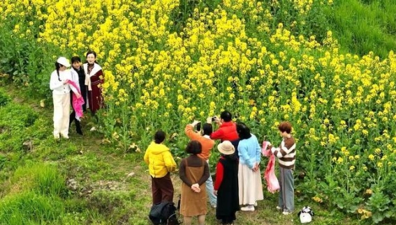 踏歌花田，跑向未来——四川宜宾江安春日健步跑活动盛况